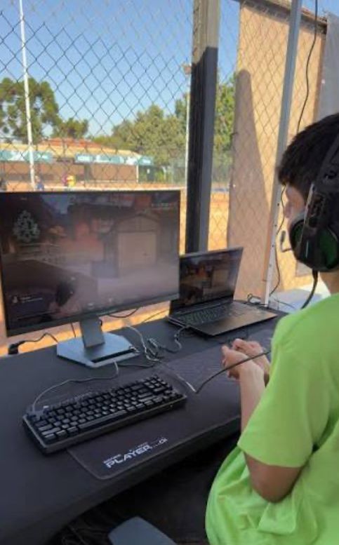 Zona Gamer
